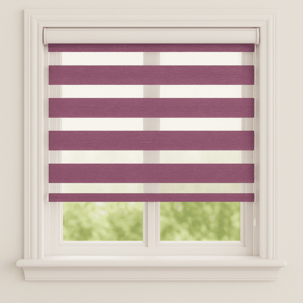 Beam Orchid - Day and Night Blind