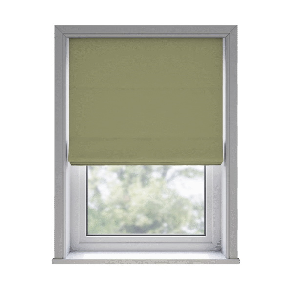 Trace Apple - Roman Blind